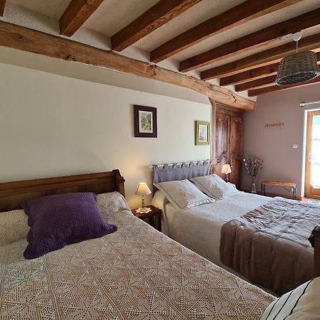 Guestroom Villentrois-Faverolles-En-Berry, 1 Piece, 2 Personnes - Fr-1-591-474 Luaran gambar