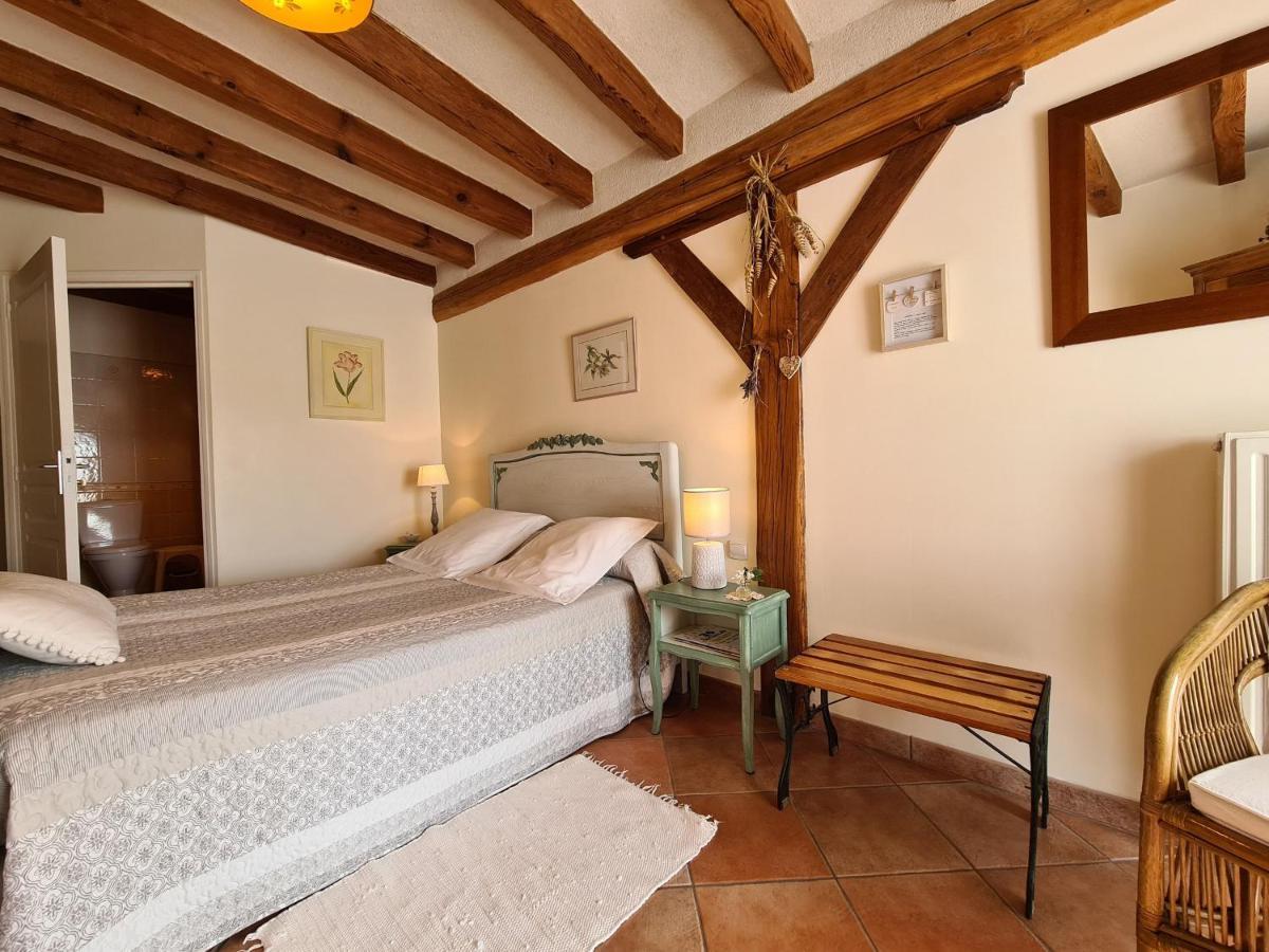 Guestroom Villentrois-Faverolles-En-Berry, 1 Piece, 2 Personnes - Fr-1-591-474 Luaran gambar
