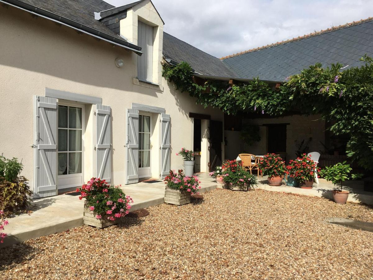 Guestroom Villentrois-Faverolles-En-Berry, 1 Piece, 2 Personnes - Fr-1-591-474 Luaran gambar
